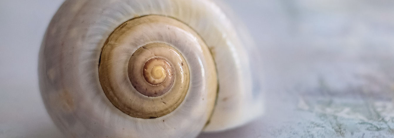 Matthias Nielsen - Focusing - Heilpraktiker, Osteopath, Physiotherapeut in Bad Oldesloe bei Hamburg