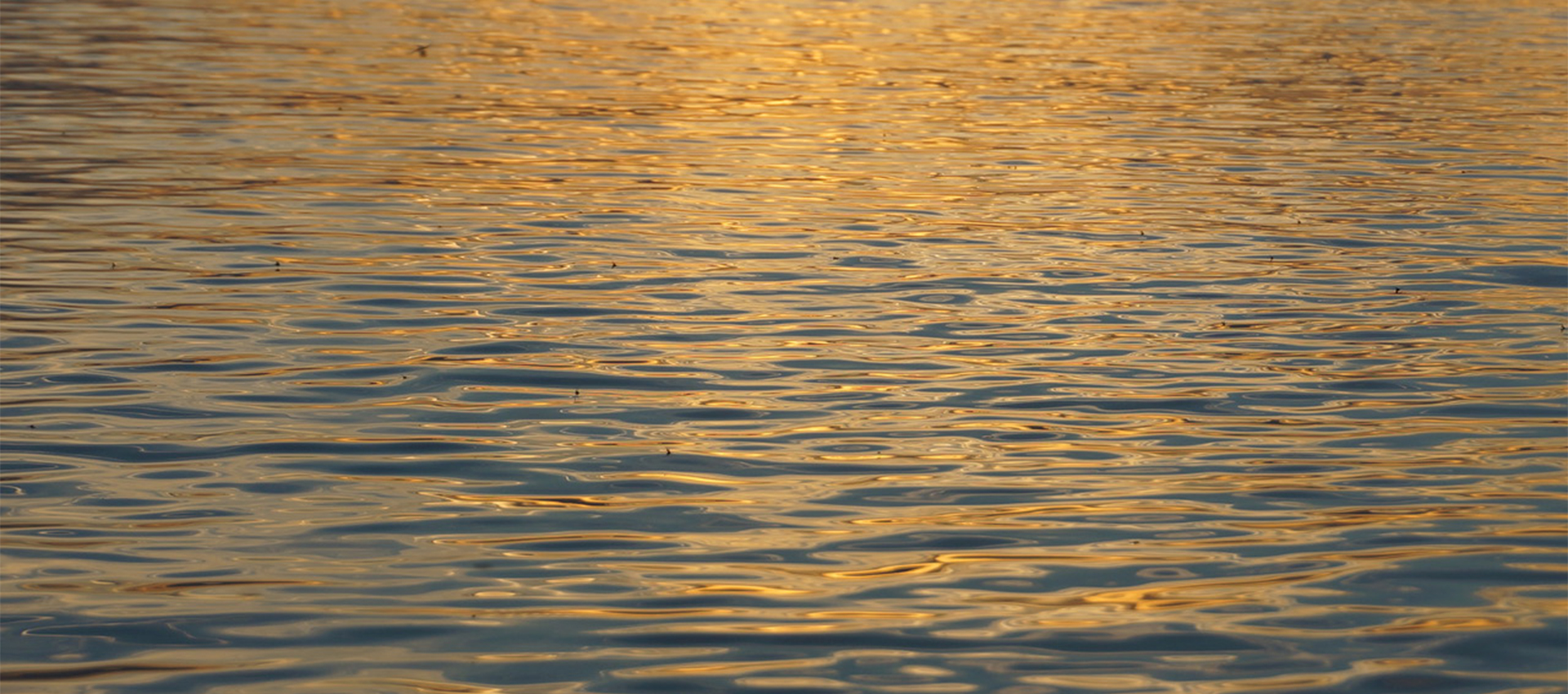 Matthias Nielsen - Heilpraktiker, Osteopath, Physiotherapeut in Bad Oldesloe bei Hamburg